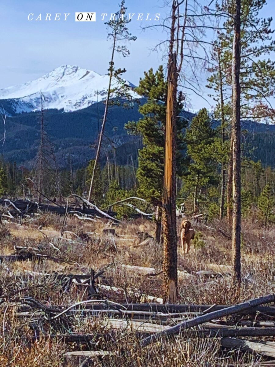 Creekside/Flume Loop