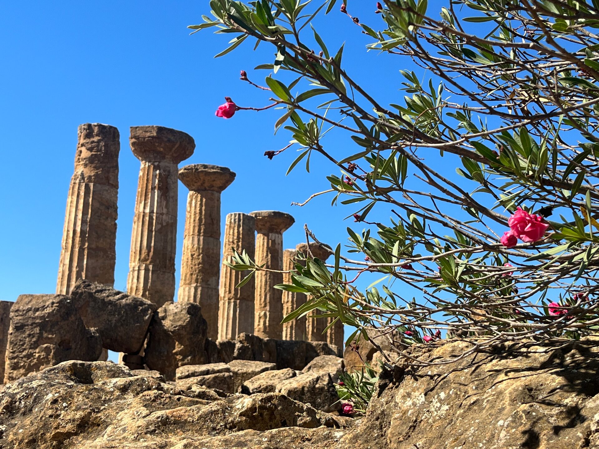 Valley of the Temples Agrigento day trip