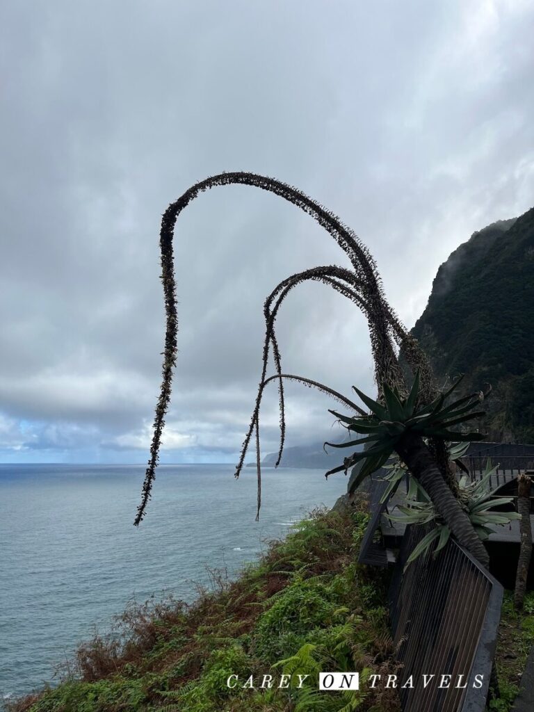 Madeira Portugal north shore