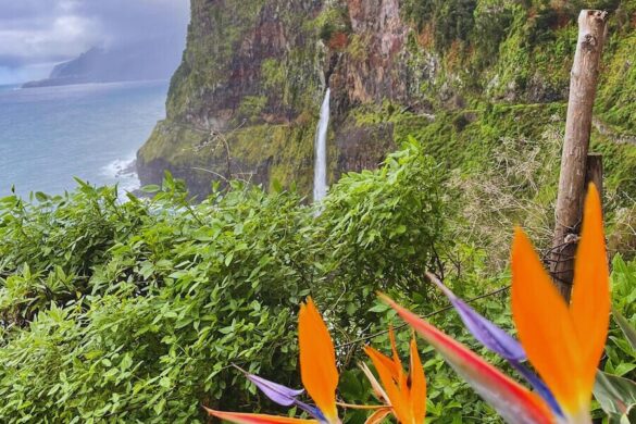 North Shore of Madeira in Winter