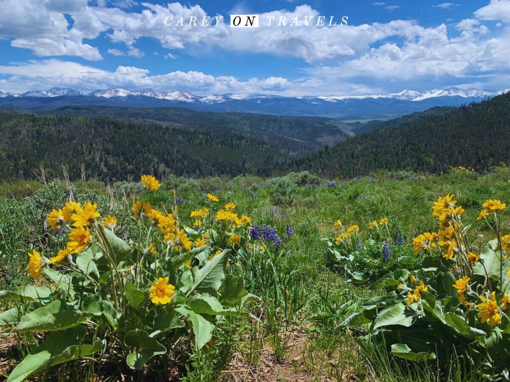 View from the Top of Granby Ranch over the canyon