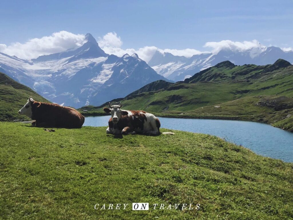 Grindelwald family adventure vacation Bachalpsee