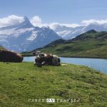 Grindelwald family adventure vacation Bachalpsee