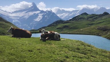 Grindelwald family adventure vacation Bachalpsee