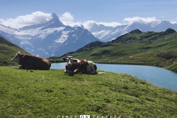 Grindelwald family adventure vacation Bachalpsee