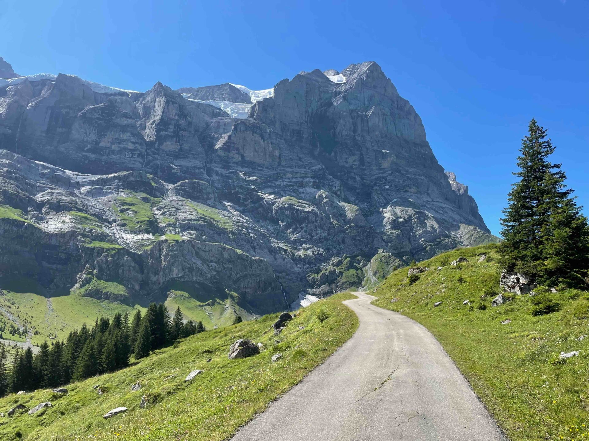 Grindelwald family vacation adventure in Summer