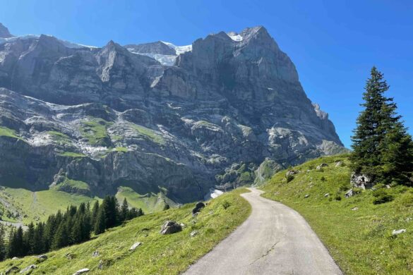 Grindelwald family vacation adventure in Summer
