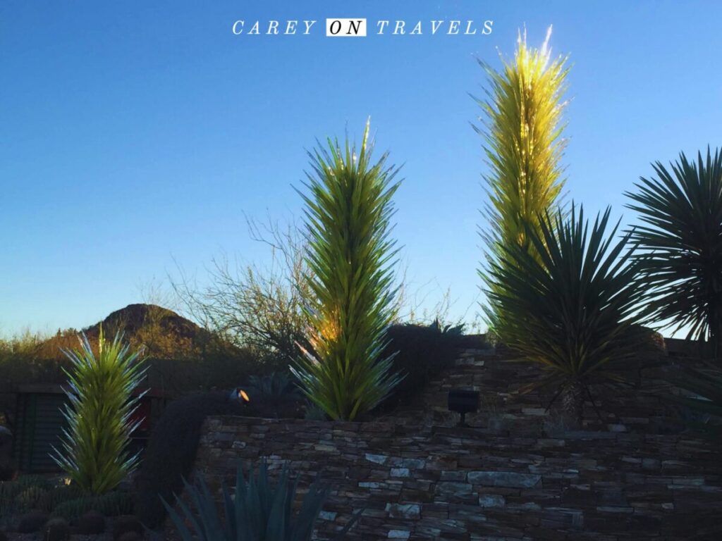 Chihuly exhibit at the Desert Botanical Gardens, Phoenix