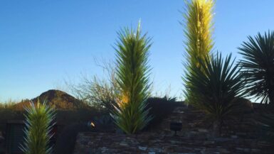 Chihuly exhibit at the Desert Botanical Gardens, Phoenix