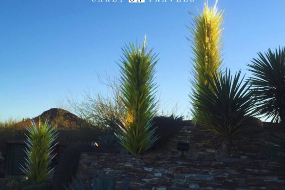 Chihuly exhibit at the Desert Botanical Gardens, Phoenix