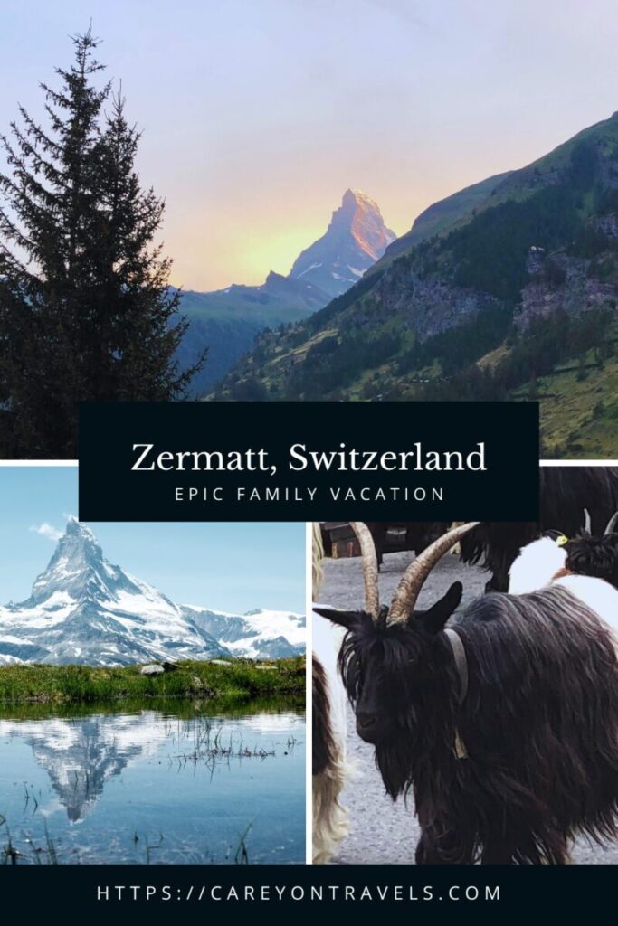 Zermatt family vacation pin