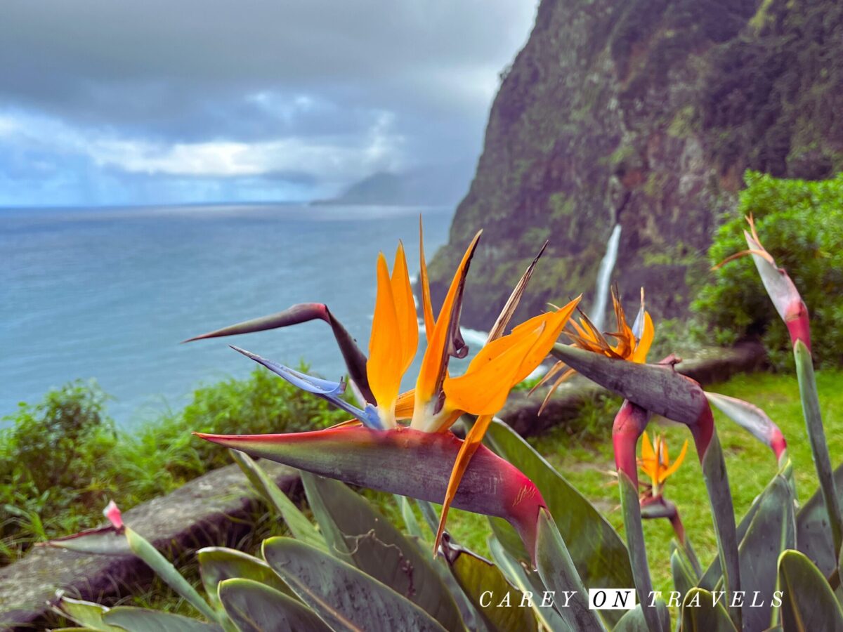 Best time to visit Madeira Portugal