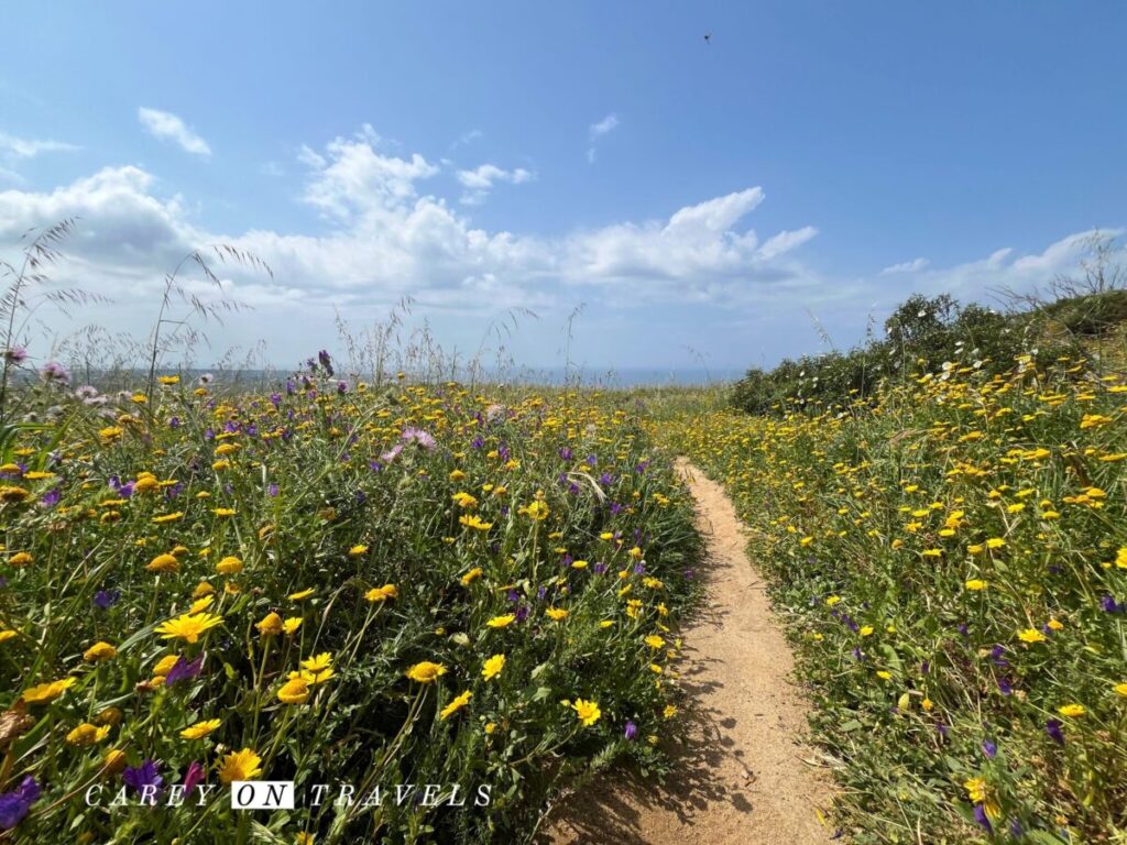 Hiking down from Penha Sanctuary Sintra