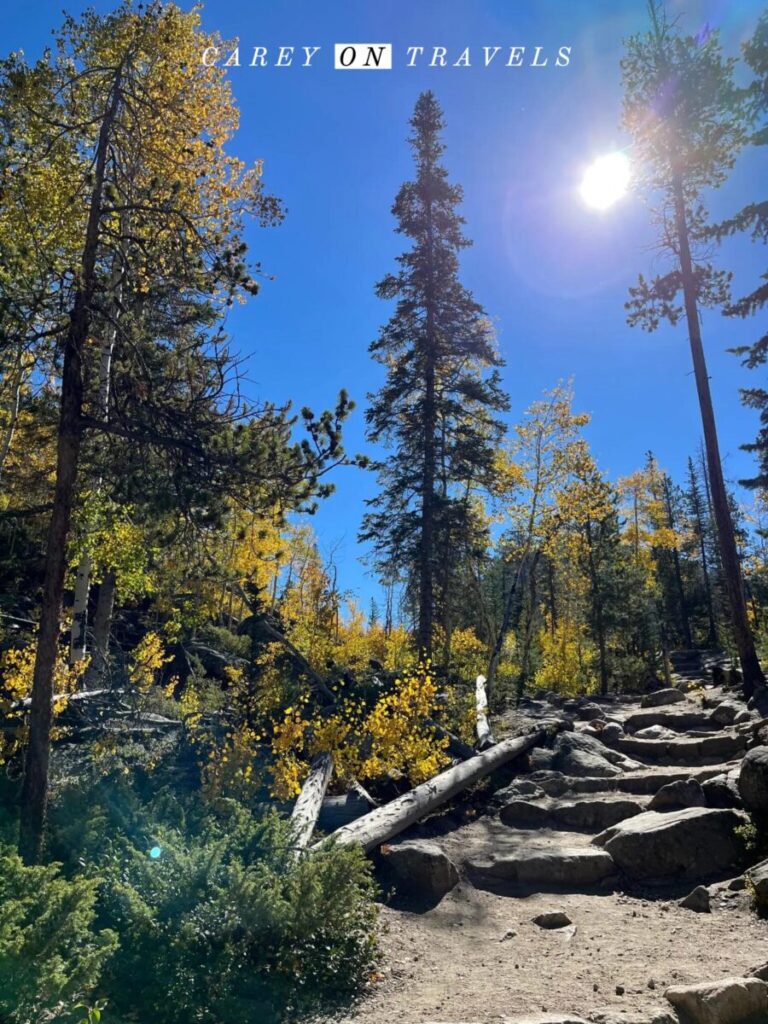 Adams Falls Trail in Fall