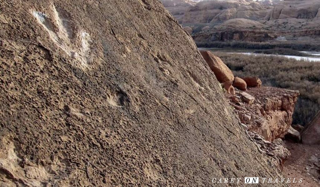 Moab things to do Potash dinosaur tracks