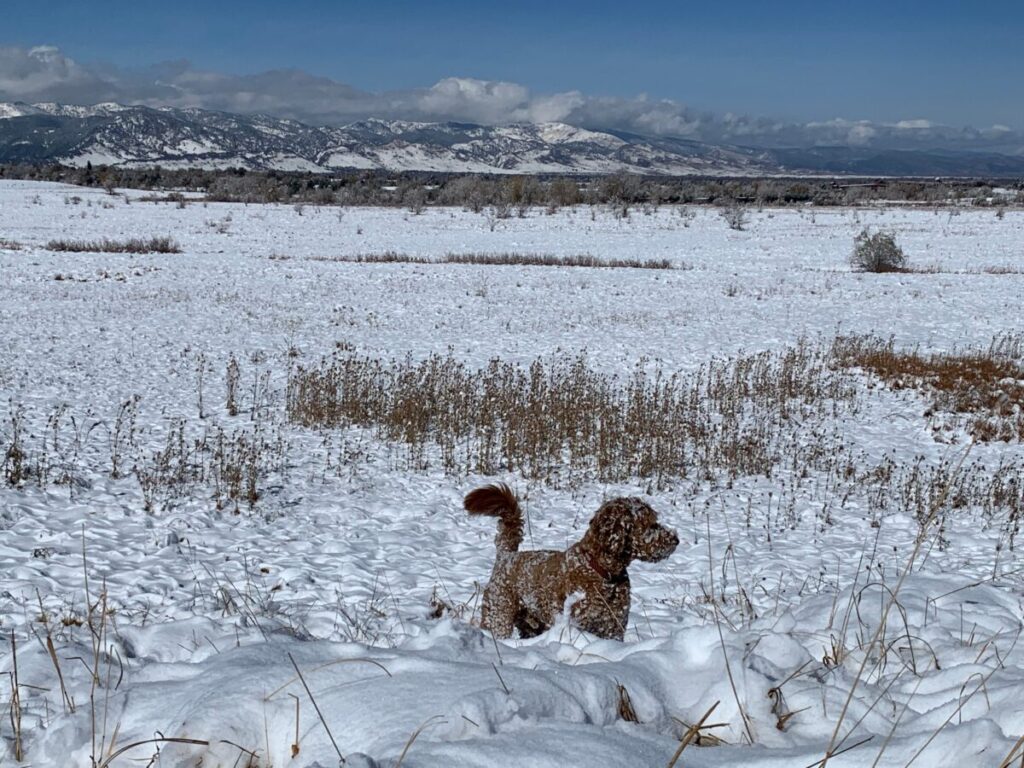 When to visit Boulder winter