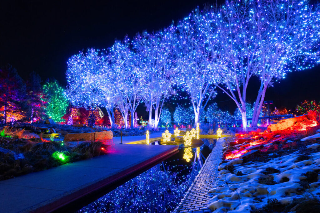 Blossoms of Light,, Courtesy of Denver Botanic Gardens. Photo © Scott Dressel-Martin