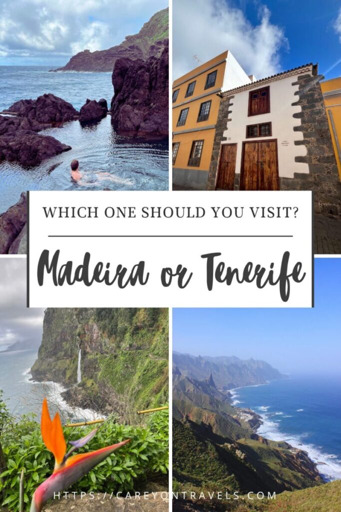 Madeira or Tenerife pin5