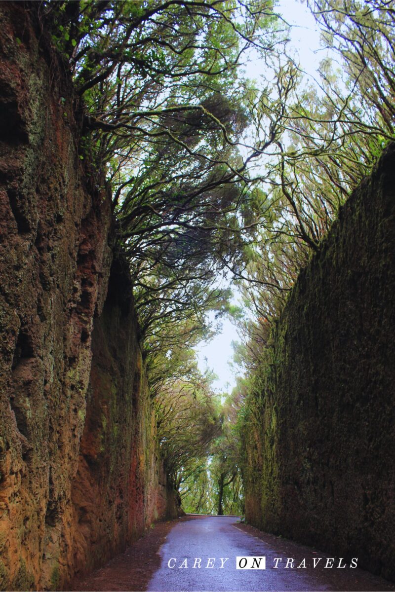 Túnel de las hadas Anaga, Tenerife