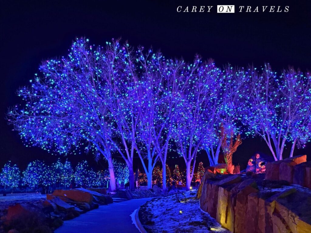 Blossoms of Light at Denver Botanic Gardens