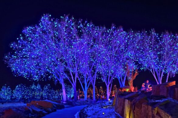 Blossoms of Light at Denver Botanic Gardens