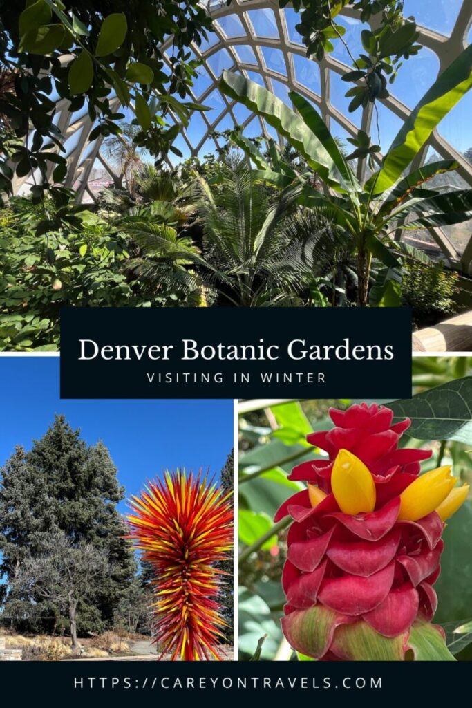 Denver Botanic Gardens in Winter pin