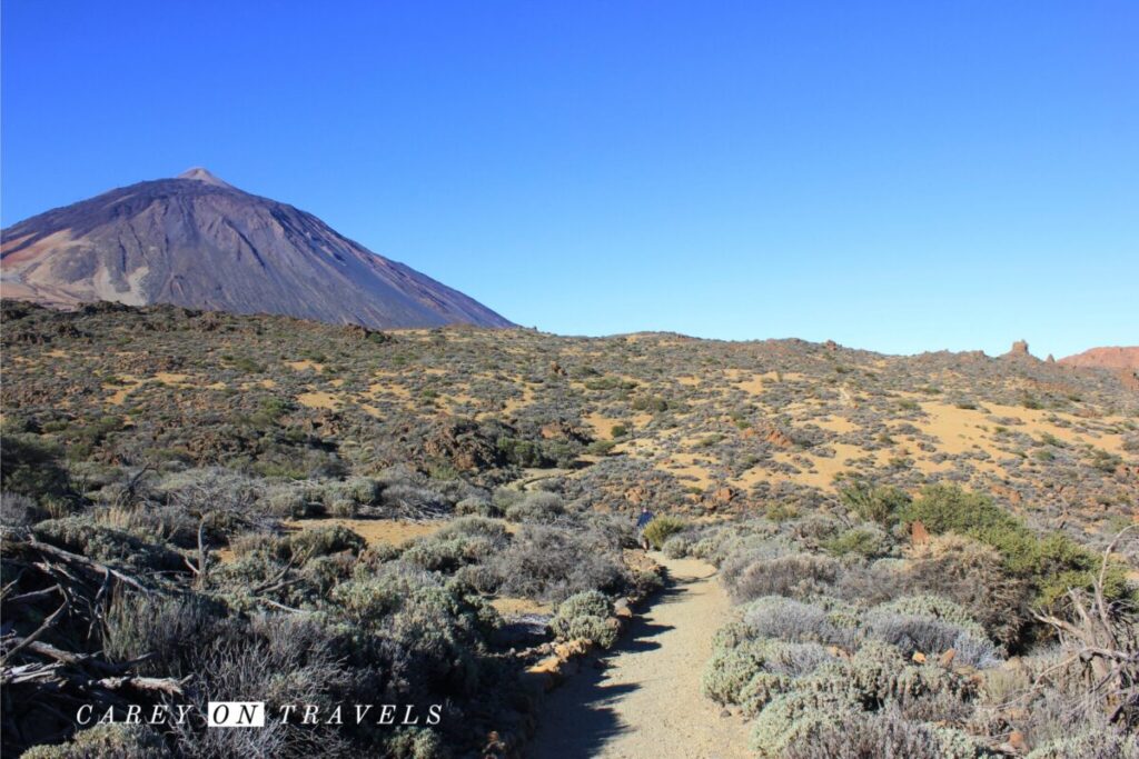 Near the start of Teide's Fortaleza Hiking Trail Tenerife