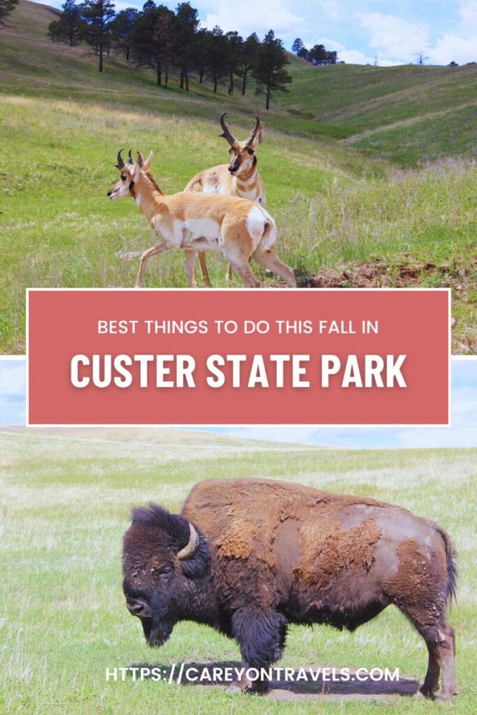 Fall Top Things to Do in Custer pin