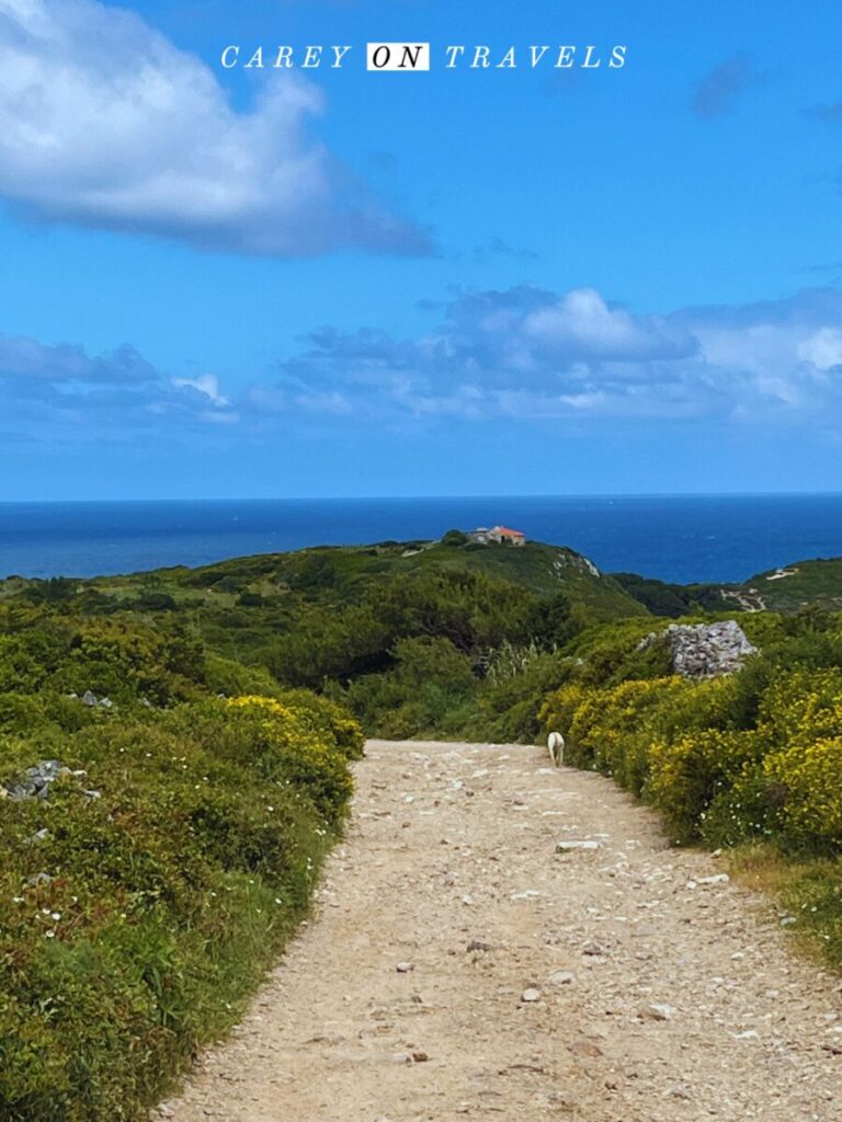 Path between Praia da Adraga and Cabo da Roca