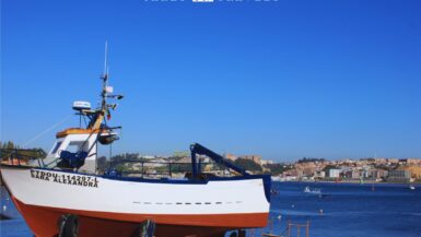 Boat with a View towards Porto from Foz do Douro