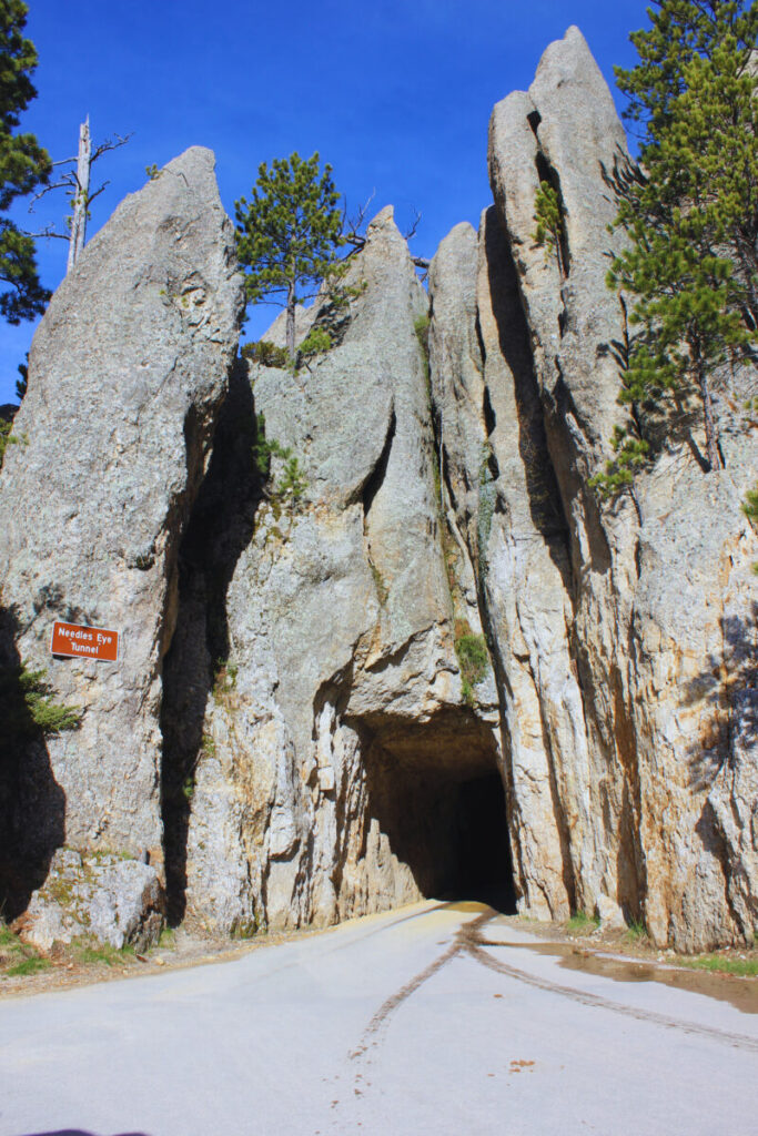 Driving the Needles Highway Custer State Park