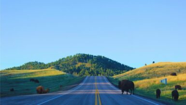 Solo Road Trip through Cave of the Winds National Park