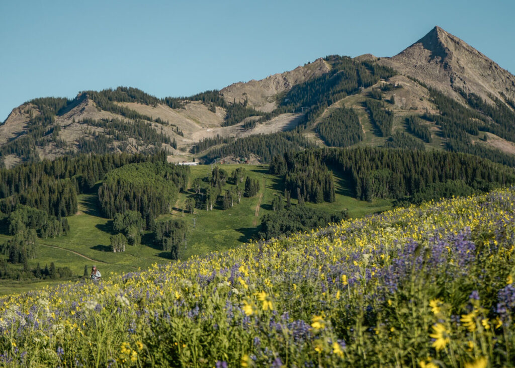 Places to Visit Summer in Crested Butte Colorado