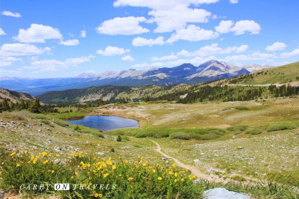 Cottonwood Pass East of Crested Butte