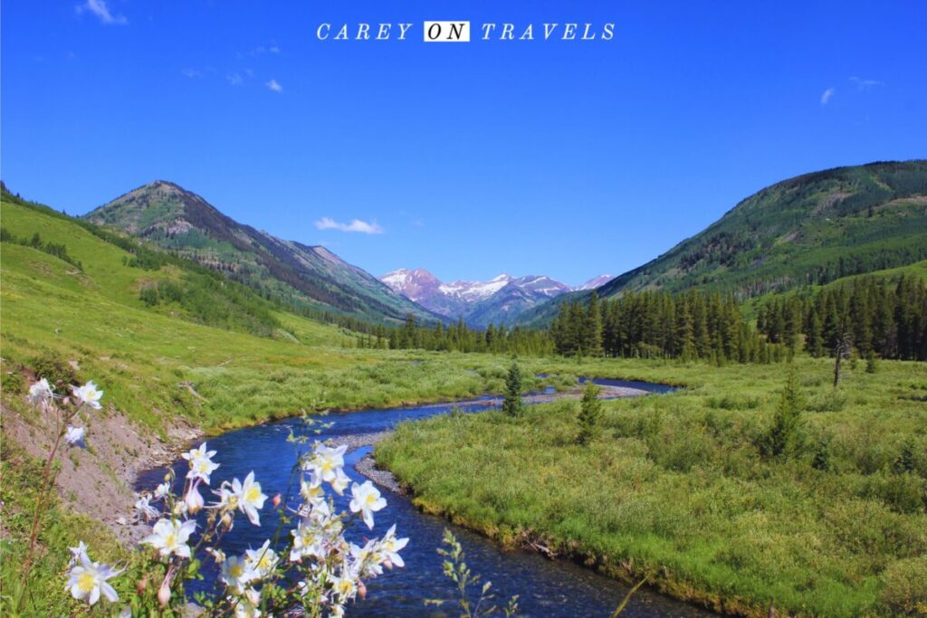 Crested Butte wildflowers along the Lower Loop trail