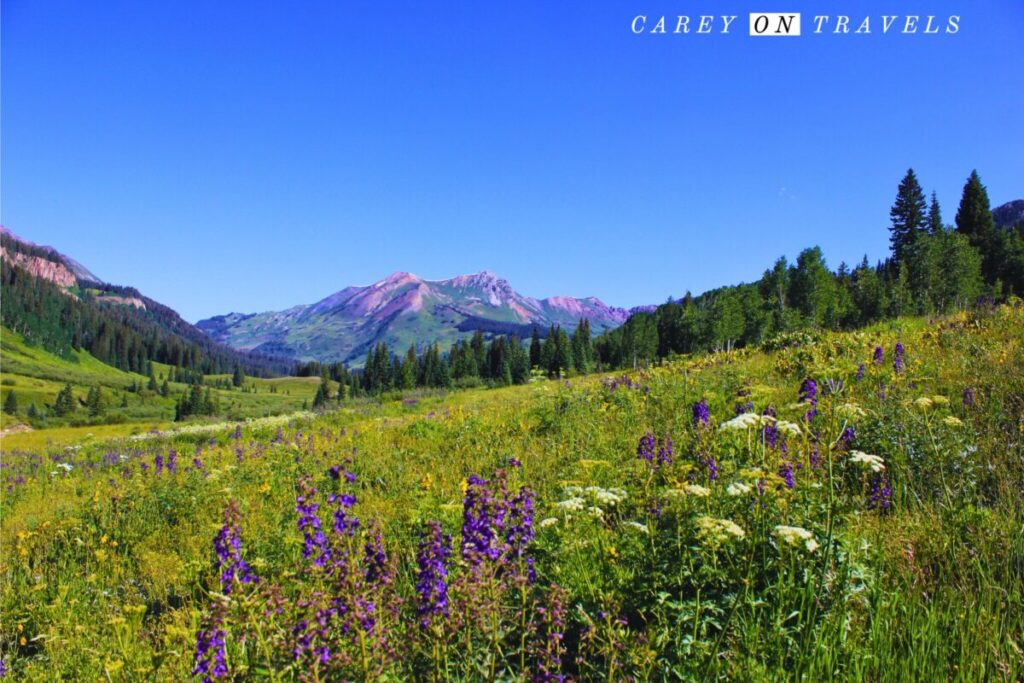 View near Judd Falls Parking Area on Gothic Road