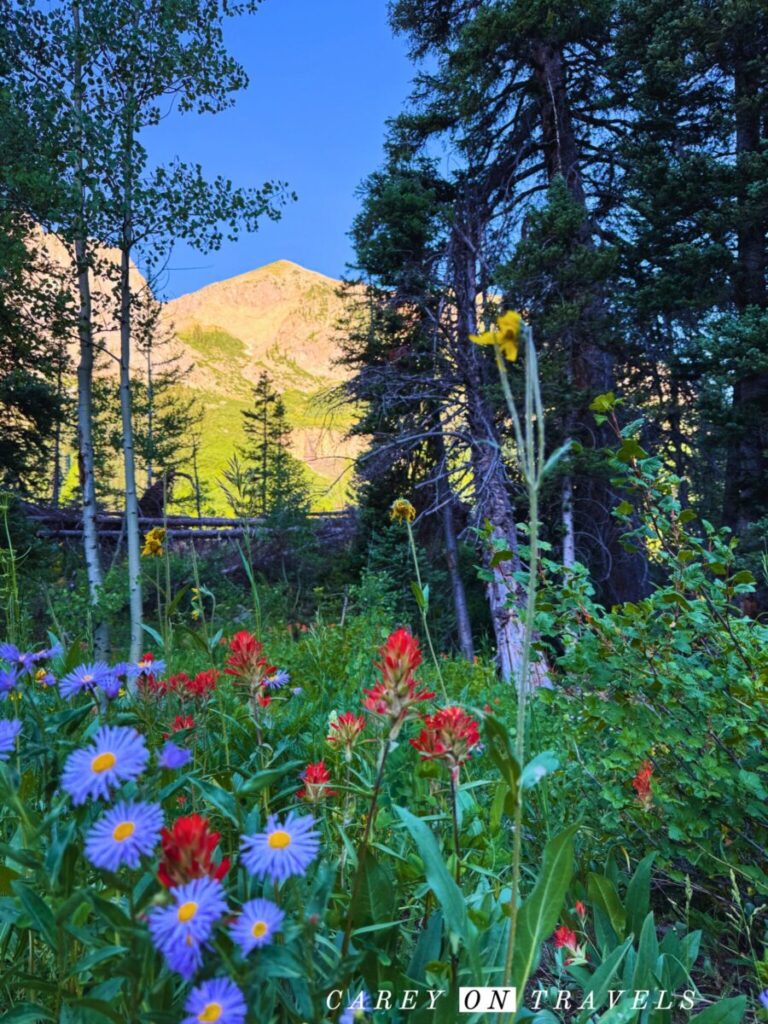 Views from Judd Falls Trail near Gothic