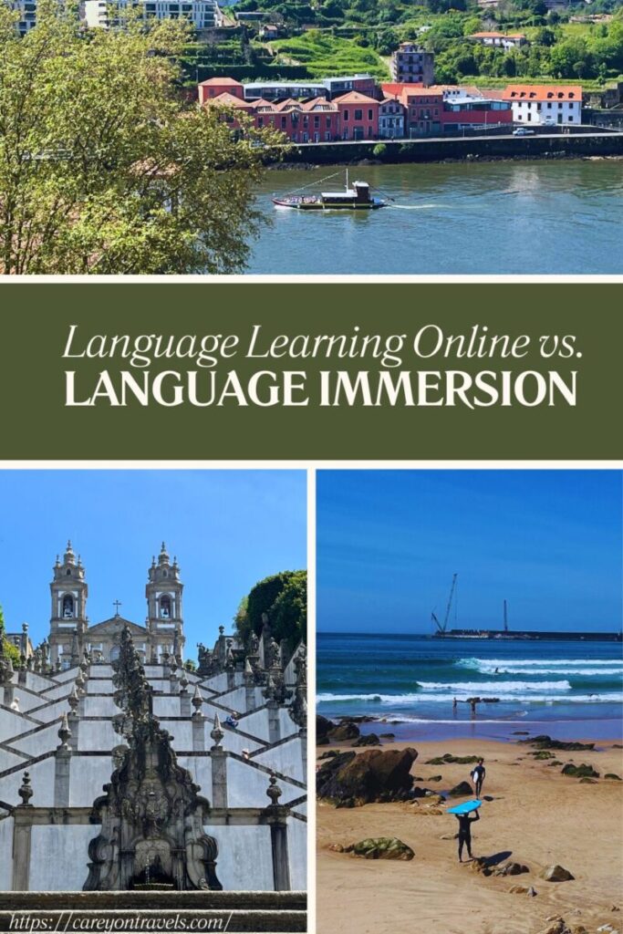 Language immersion program pin2