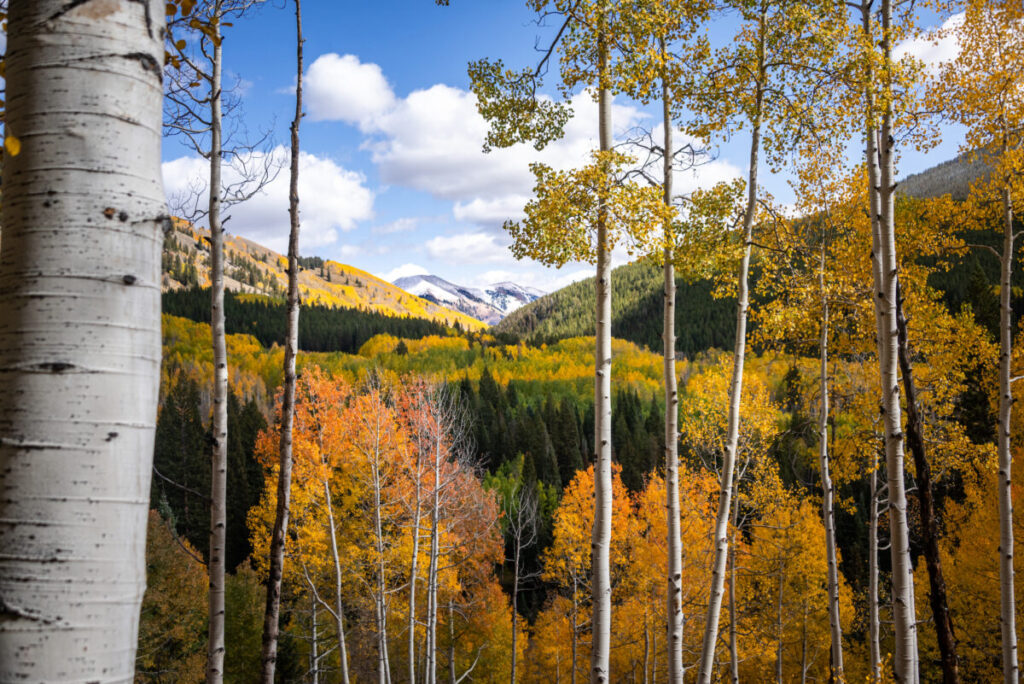 Crested Butte in Fall, photo credit Gunnison Crested Butte Tourism