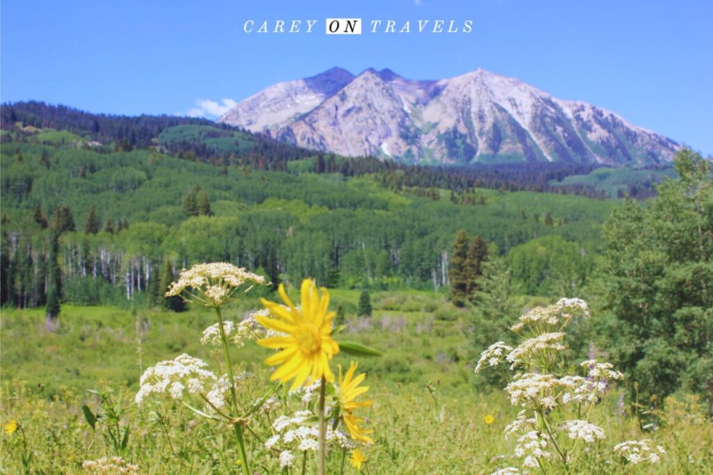 Kebler Pass west of Crested Butte