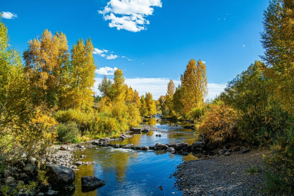 Yampa River in Steamboat Springs in fall, photo credit Matthew Hernandez on Unsplash