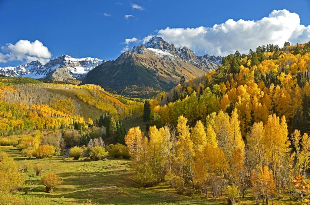 Ridgway Colorado Fall Foliage photo credit Thomas Morse on Unsplash