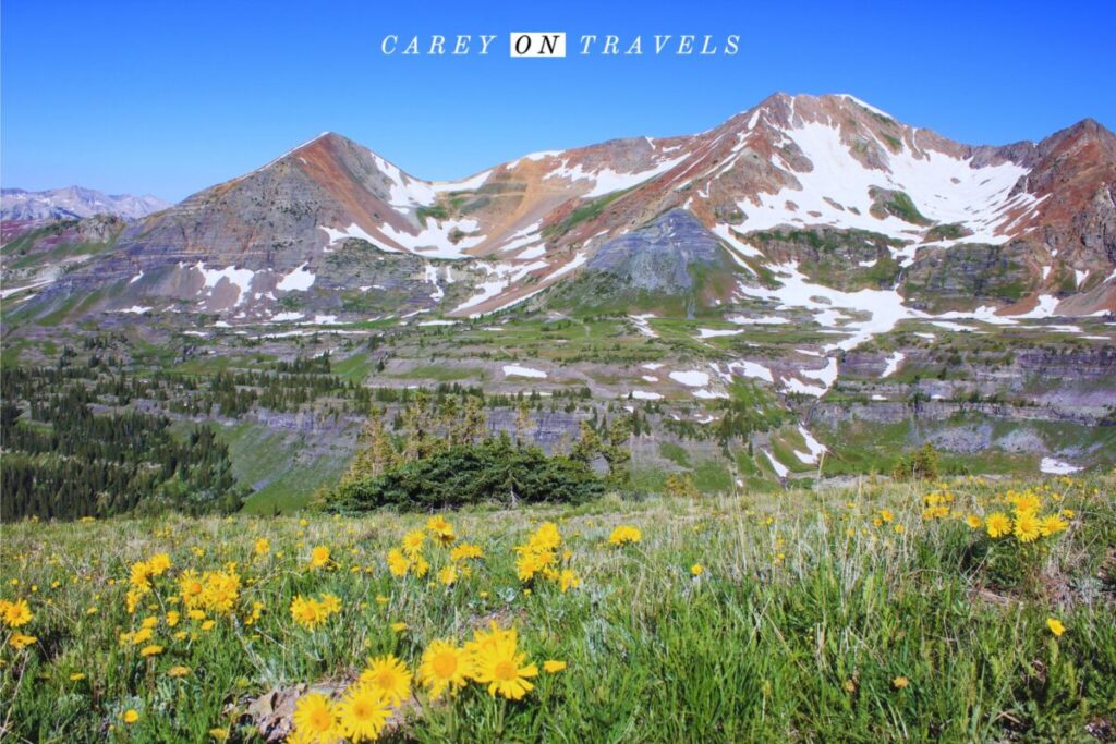 Scarp Ridge Trail Crested Butte in July