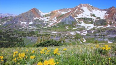 Scarp Ridge Trail Crested Butte in July