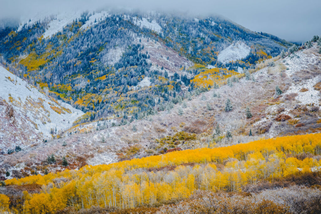 Fall in the La Sal mountains Moab Utah, photo credit John Blue on Flickr