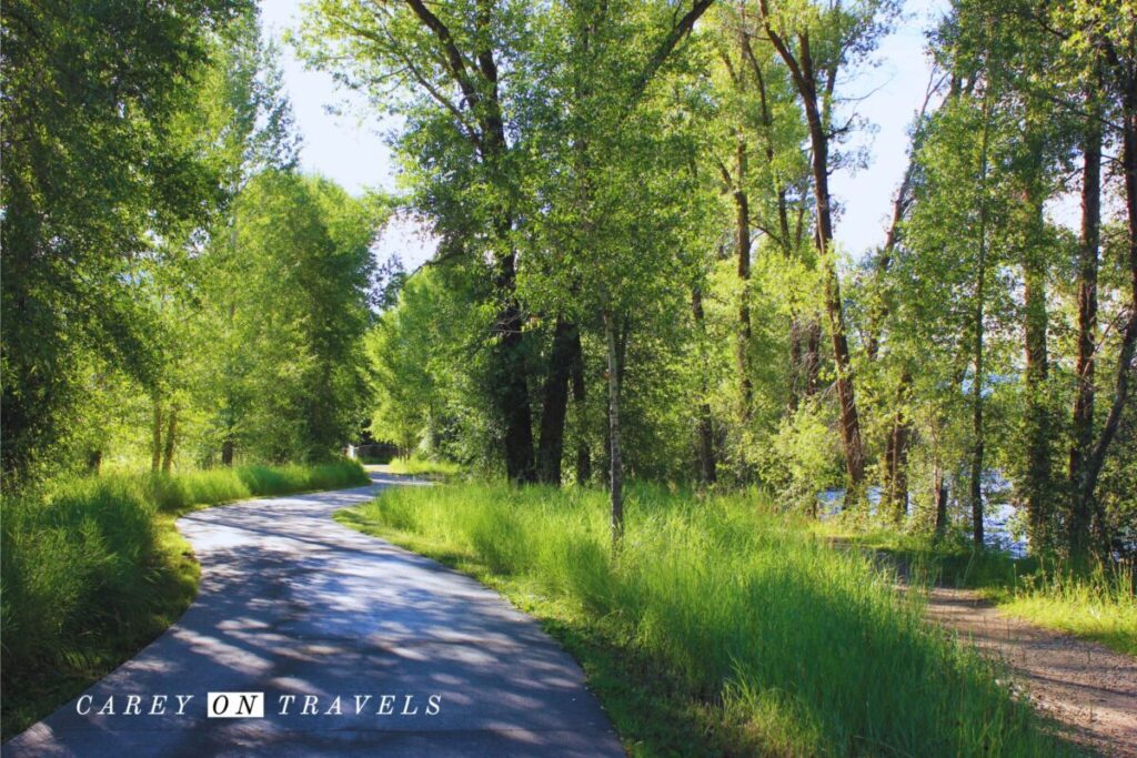 Yampa River path Steamboat Springs