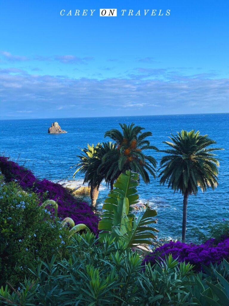 View from the Coastal Promenade Funchal