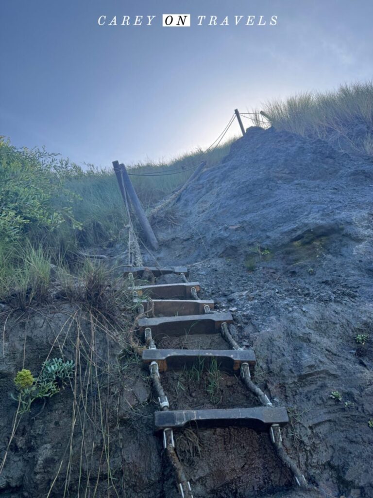 Ladder up from the beach Fisherman's Trail north of Almograve