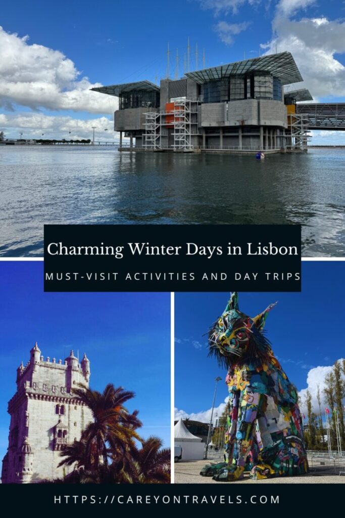 Lisbon winter pin3