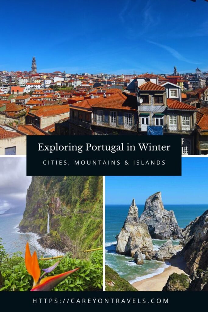 Winter in Portugal pin2